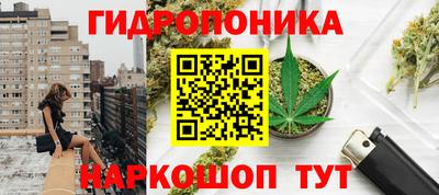 сатива Коммунар