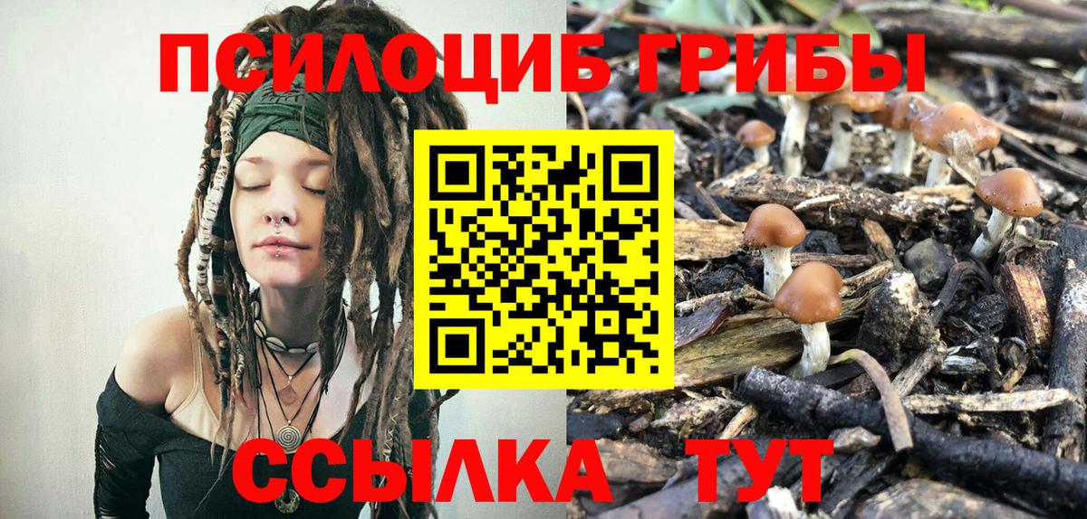 Донецк  Галлюциногенные грибы прущие грибы  Вход с VPN 