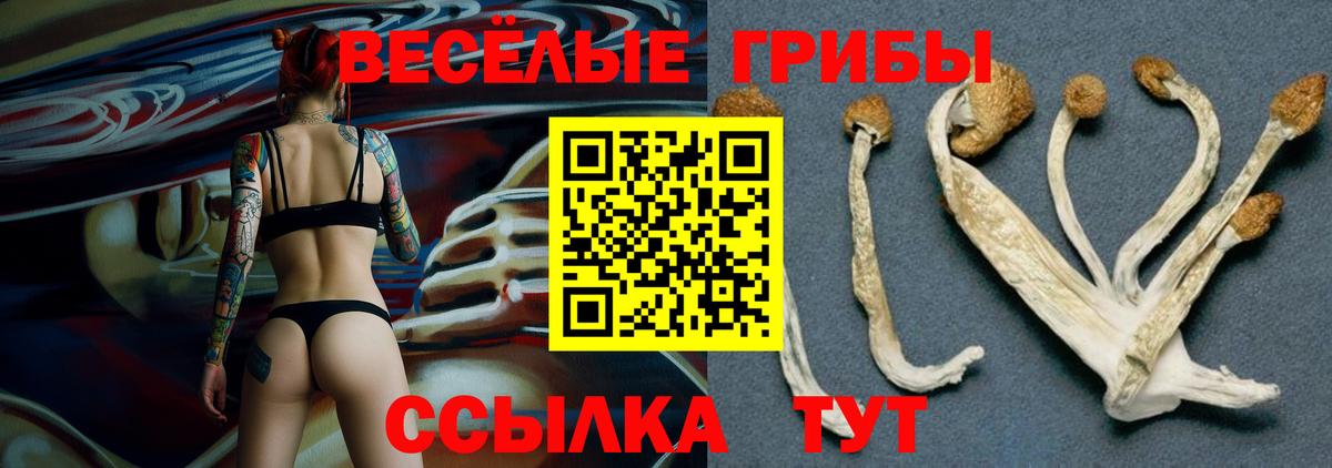 Галлюциногенные грибы ЛСД Донецк